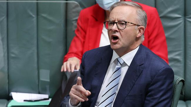 Anthony Albanese is trying to dismiss the attacks as rants and fantasy. Picture: NCA Newswire/Gary Ramage