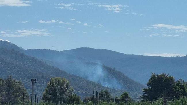 Crabtree Road fires from 7 Crabtree Rd. February 22, 2024. Picture: Bulk Nutrients