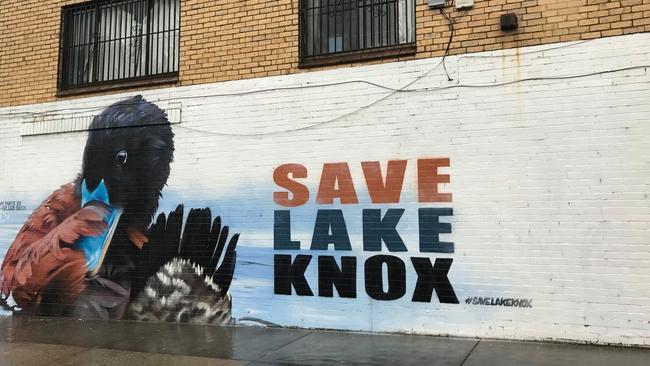 The Save Lake Knox mural. Picture: First Friends of Dandenong Creek