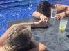 Chilling photo after tourists sip water at bar