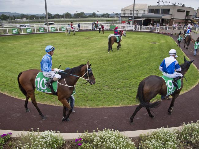 Runners in the mounting yard before race two at Clifford Park, Friday, January 24, 2020. Picture: Kevin Farmer