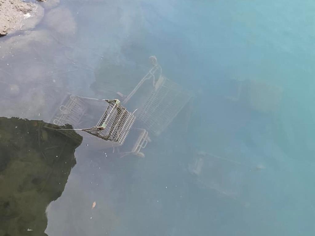 Trolleys have been left in the marina. Picture: Facebook/Whitsundays Chat