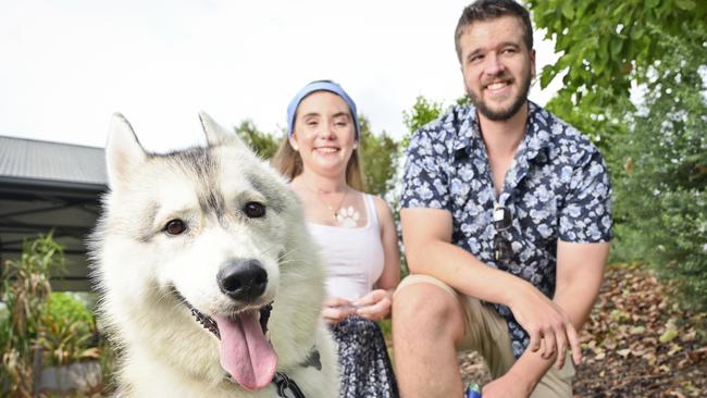 Max the dog alerted owner David Symes that his partner Shaune Martin was hit by a car, potentially saving her life.  Picture: Cordell Richardson