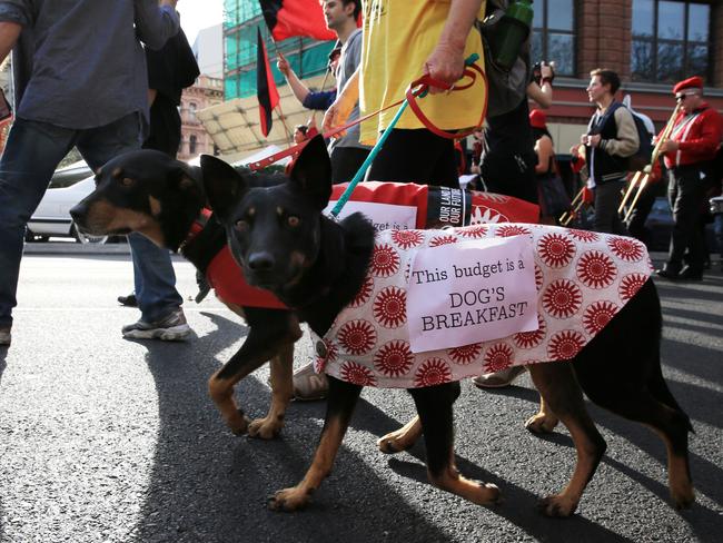 These dogs were part of the peaceful Anti Tony Abbott march in Sydney. Police made arrests after a small body of protesters sat down in George Street at the end of the demonstration. Picture: Mark Evans