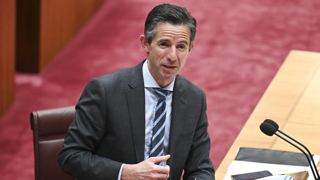 The Coalition’s spokesperson for foreign affairs Senator Simon Birmingham accused the government of ‘over the top revenue raising’. Picture: NewsWire/ Martin Ollman