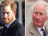 Harry: William ‘screamed and shouted’ at me