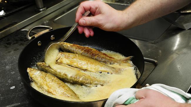 Catching & cooking yellow-eyed mullet - The Fishing Website