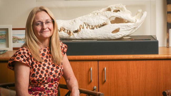 Territory Coroner Elisabeth Armitage. Picture: Glenn Campbell