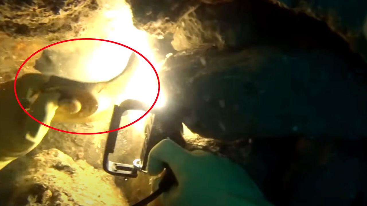 Shipwreck mystery solved after 140 years