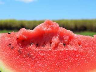 LESSON LEARNT: An embarrassing watermelon incident proves why children should listen to their mothers. Picture: Emily Smith