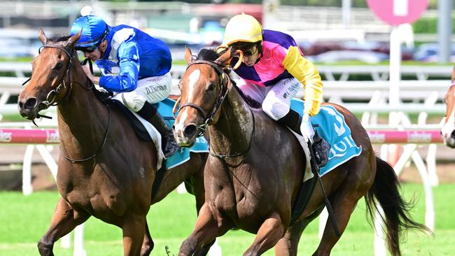 Dragonne Rouge runs down Ha'penny Hatch to win the Calaway Gal Stakes at Eagle Farm. Picture: Grant Peters/Trackside Photography