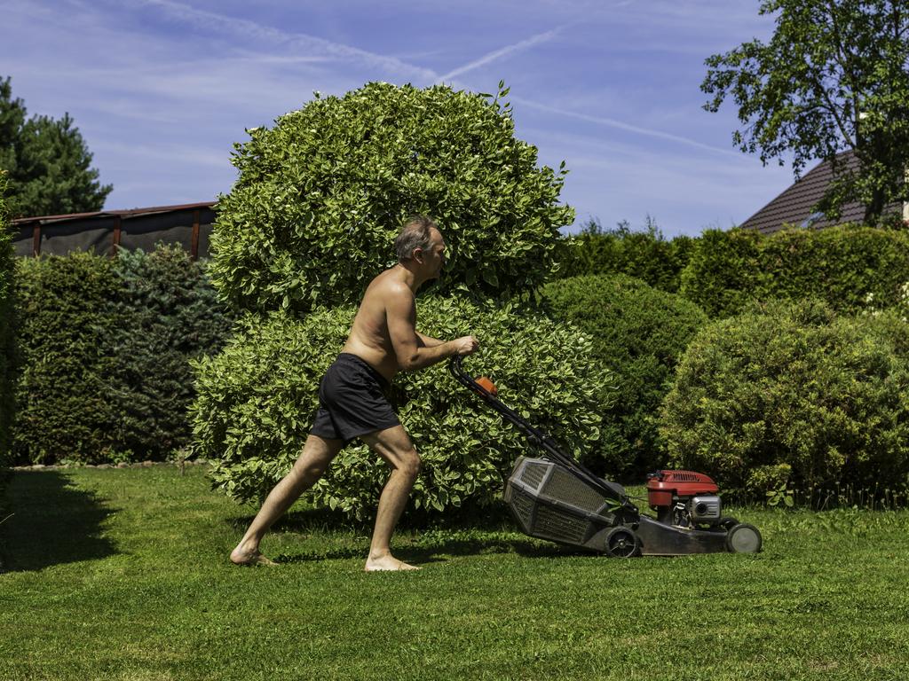 Mowing is crucial to keeping your lawn healthy.