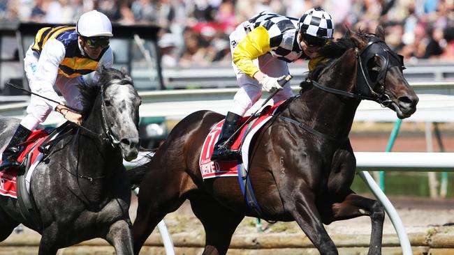 The Bart Cummings-trained Viewed (right) contested the Mackinnon Stakes before winning the 2008 Melbourne Cup with Blake Shinn.