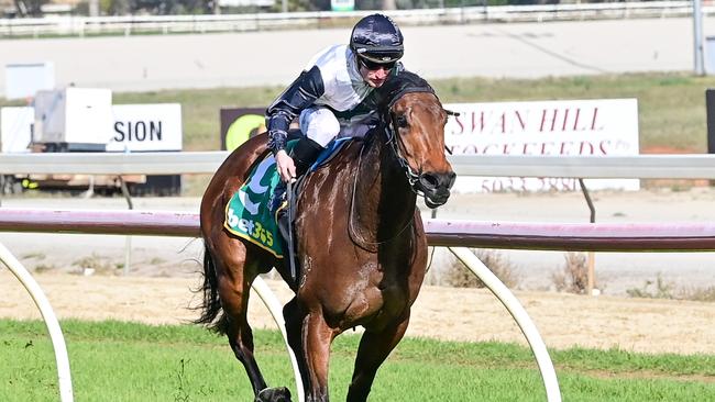 Pride Of Sullivan led all the way to win on debut at Swan Hill in June. Picture: Brendan McCarthy-Racing Photos