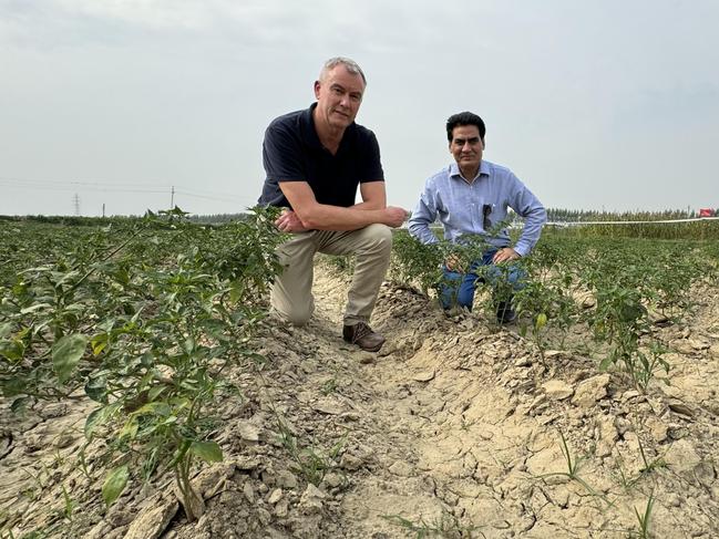 ANZ Head of Agribusiness Mark Bennett (L) and Om Tyagi from Indian agricultural technology company UGL your a farm on the outskirts of Agra, India. Picture: Charlie Peel