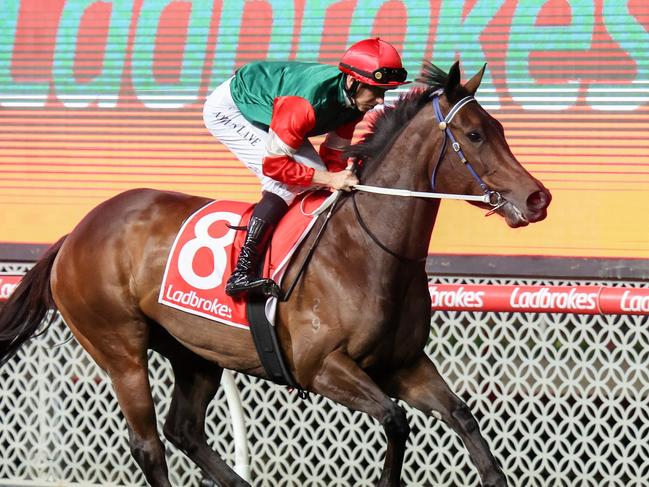 Amelia's Jewel on the way to the barriers prior to the running of the Ladbrokes Stocks Stakes at Moonee Valley Racecourse on September 29, 2023 in Moonee Ponds, Australia. (Photo by George Sal/Racing Photos via Getty Images)