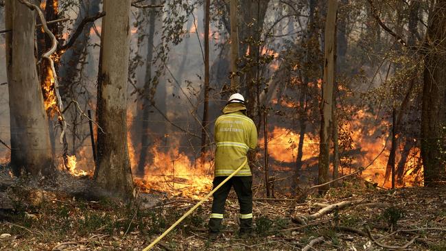 A National Parks and Wildlife crew member fights flames along Half Chain road in Koorainghat, near Taree on NSW’s mid north coast in November 2019. Picture: AAP