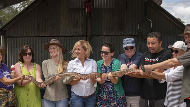 That’s a big snake! Picture: AAP/Matthew Vasilescu