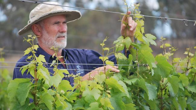 Co-owner Tim Coelli said it has been a tough few years for all Granite Belt vineyards due to the droughts.