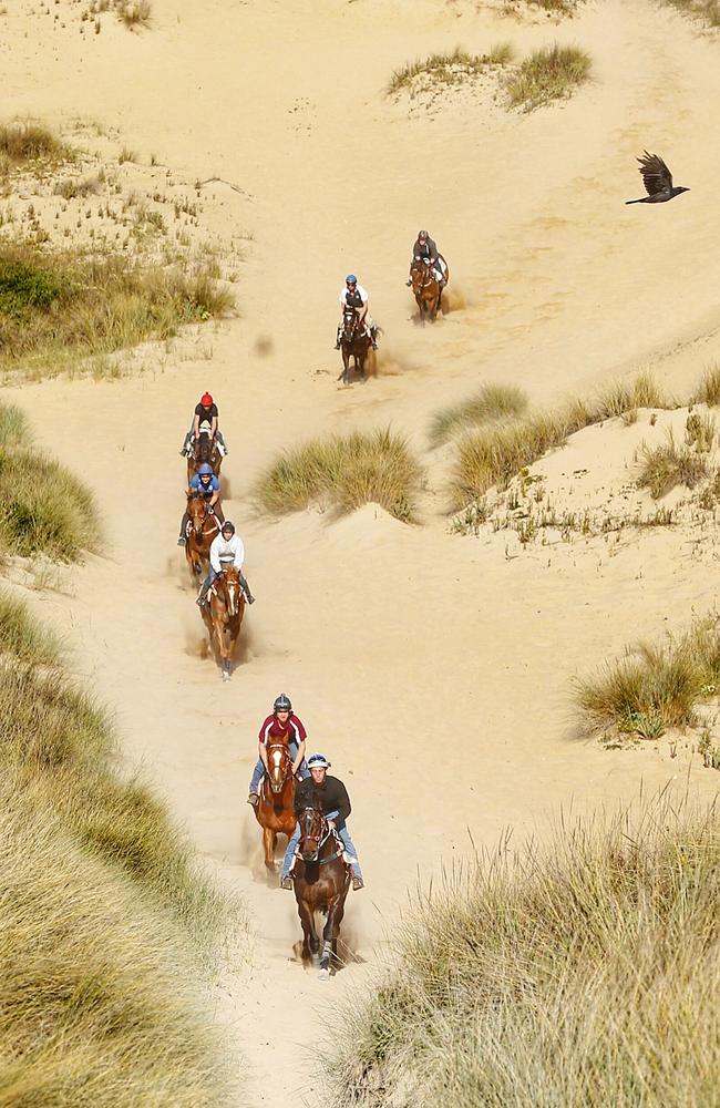 A bird’s eye view of Darren Weir-trained horses including Stratum Star tackling the sand dunes near Warrnambool last year. Picture: Colleen Petch.