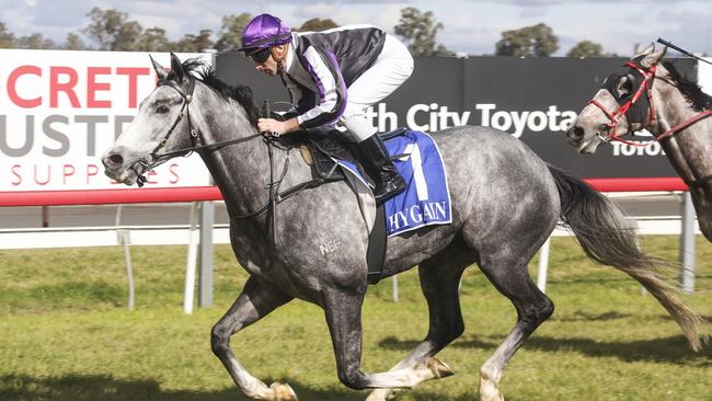 Six Foot Song is chasing back-to-back wins when he contests the Grafton Cup Prelude. Picture: Bradley Photos