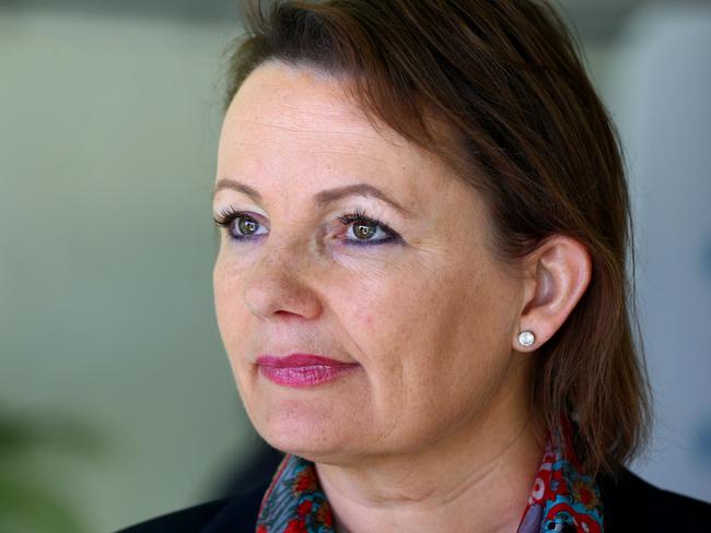 Federal Minister for Health Sussan Ley has apologised to families affected by the administrative error. Picture: David Clark.