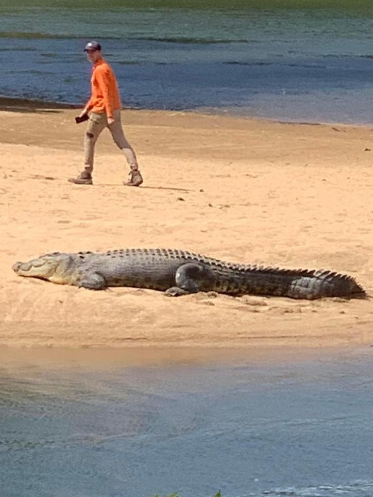 An alarming photo of a man with a phone in his hand standing only metres away from a Far North croc surfaced in September last year. Picture: Supplied