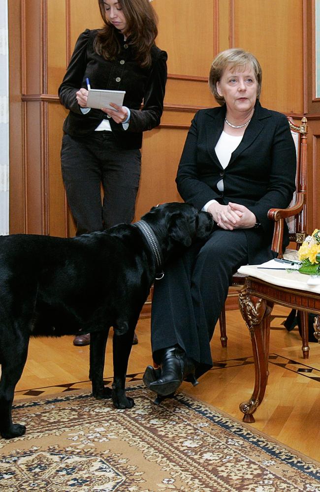 Chancellor Merkel is not amused by the appearance of Putin’s black dog at a meeting in Sochi in 2007. She joked about it at the time and Putin later apologised and said he did not know she was afraid of the animals. Picture: PRESIDENTIAL PRESS SERVICE / ITAR-TASS