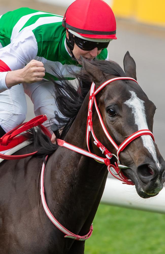 Damian Lane wins the Cox Plate on Lys Gracieux. Picture: Jay Town