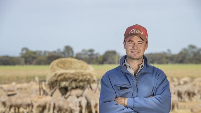 Angus White with sheep in the feedlot. Picture: Zoe Phillips