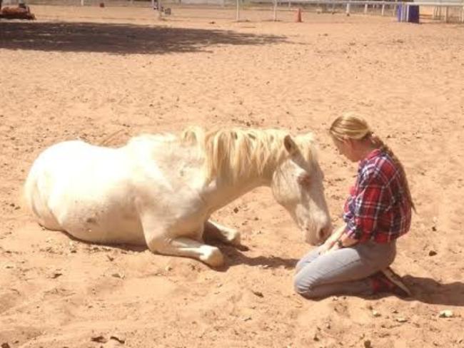 People sometimes find it helpful to bond with horses for therapy. Picture: Supplied