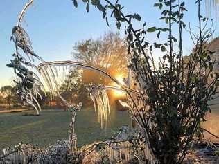 A chilly morning at Taylors Plains. Picture: Jessie Chiconi