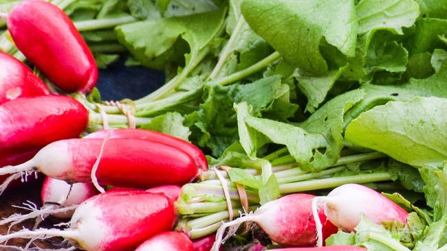 Produce grown at Green Cauldron Farm, Tyalgum.