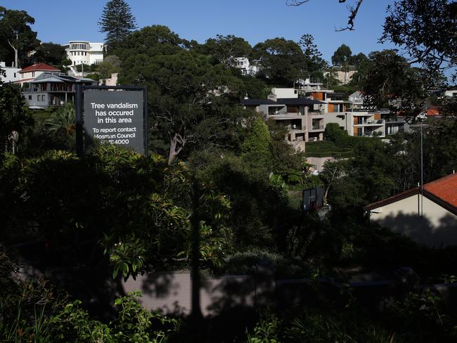 The large Mosman Council anti-tree vandalism sign in Julian St which has angered residents in the area of Joel’s Reserve. Picture: Virginia Young