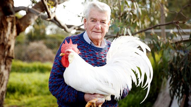 Victoria’s poultry show ousted from Royal Melbourne Showgrounds | The ...