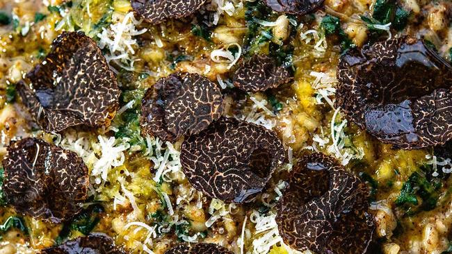 Truffled mushroom and silverbeet risotto. Picture: Jesse Marlow