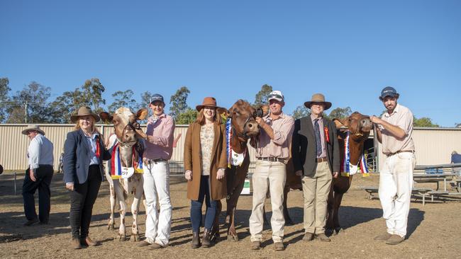 A 2019 flashback to Supreme Champion pen of three cows went to the Bourke family with their Illawarra entrants Myrtleholm Lemon Empress 60, Myrtleholm Glenda 65 and Ovensdale Rose 182, with the Raymont family presenting the award. Photo: Ali Kuchel