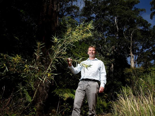 Mosman Council’s Steve Smith. Picture: Annika Enderborg