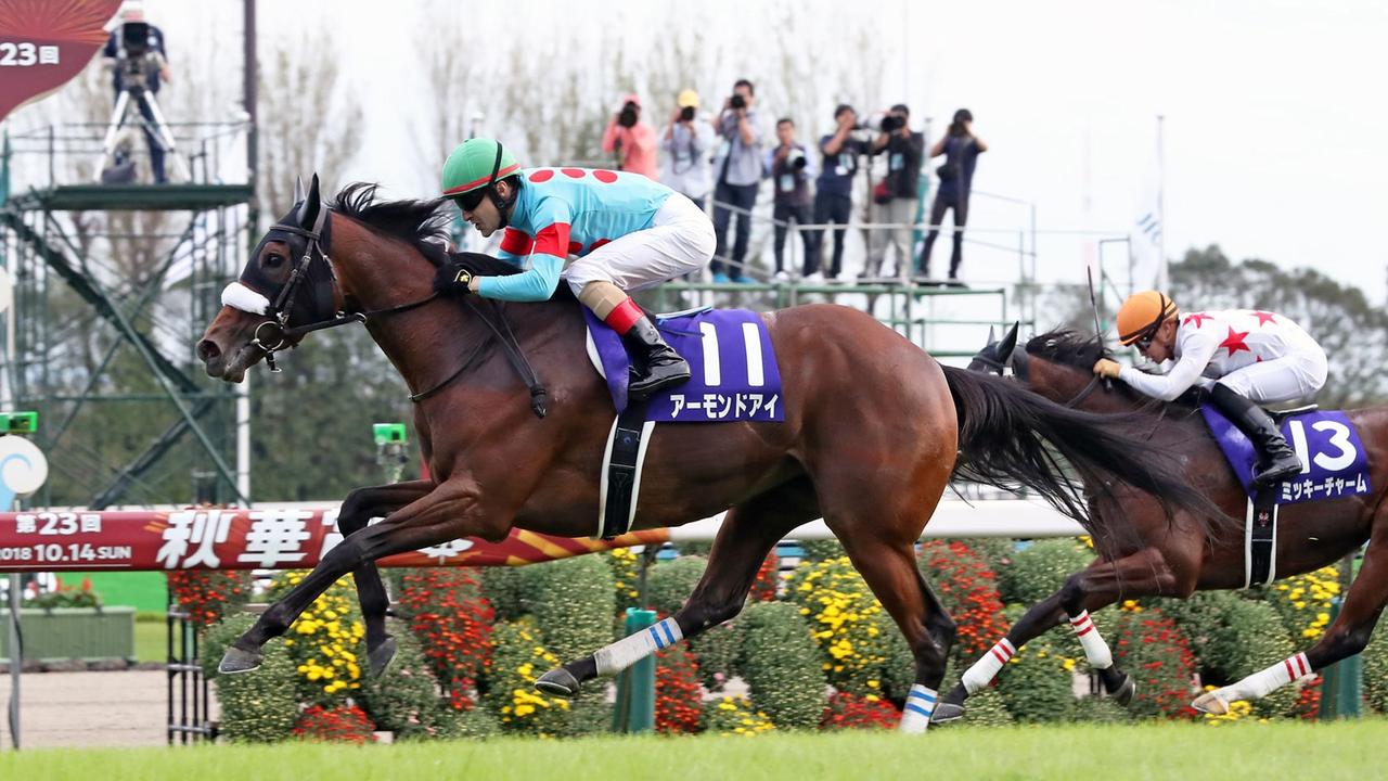 Arima Kinen to pull in punters as Japan's season finishes with a bang | The  Australian