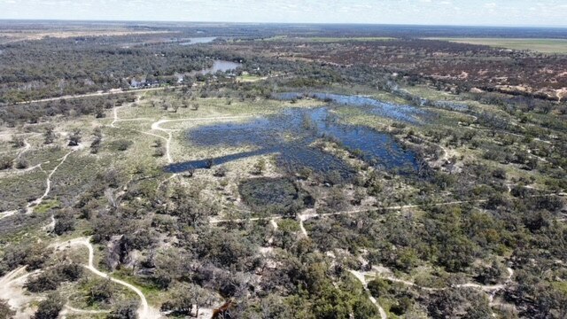 Morgan riverfront and lagoons, Oct 2022. Picture: Cody Campbell