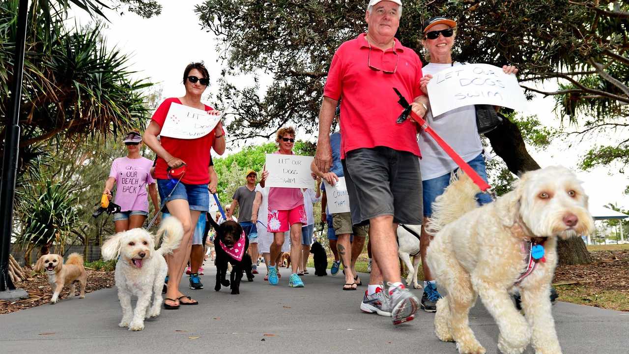 Dog beach ban here to stay: Connolly | The Chronicle