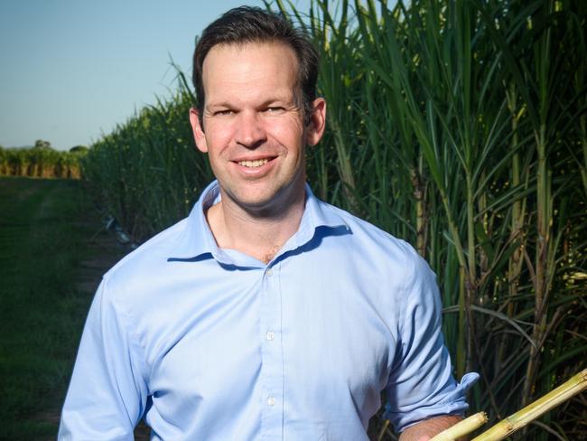 Senator Matt Canavan. Picture: Scott Radford-Chisholm