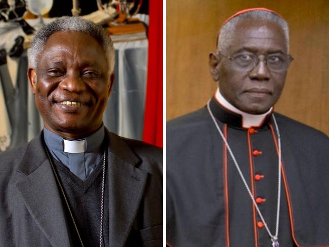 Peter Turkson and Robert Sara are under consideration for becoming the new pope.