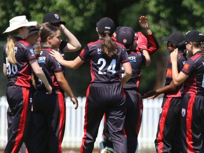 North Sydney players celebrate a Penrith wicket. Picture Warren Gannon Photography