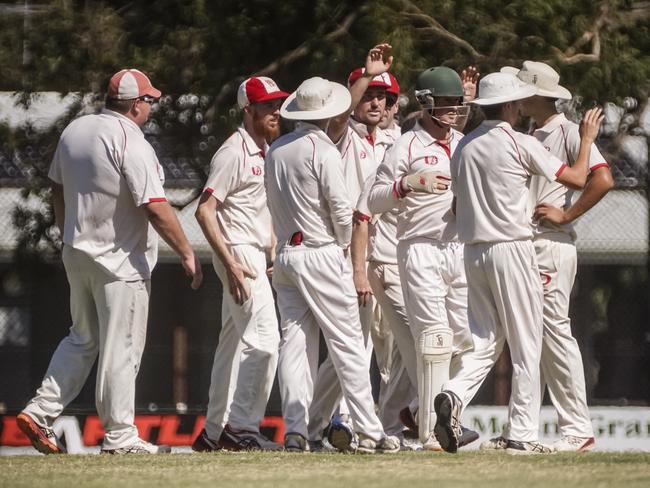 Baden Powell players celebrate a wicket in last season’s MPCA Peninsula grand final.