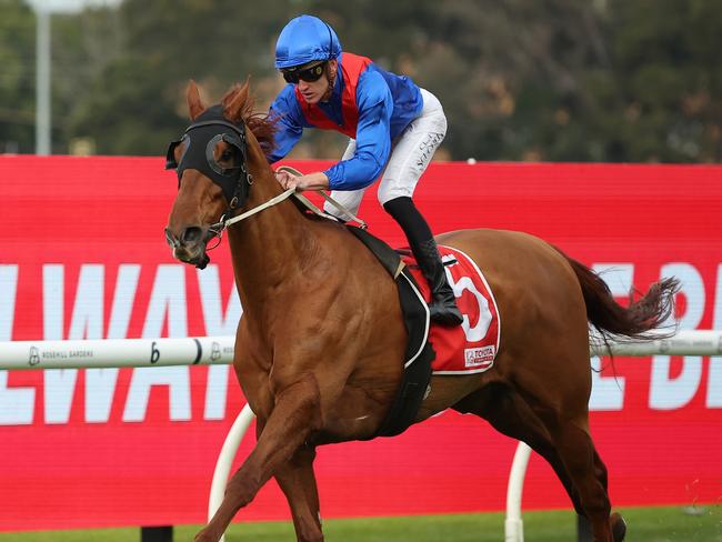 SYDNEY, AUSTRALIA - JUNE 29: Chad Schofield riding Golden Path wins Race 7 Toyota Forklifts W J McKell Cup during "McKell Cup Day" - Sydney Racing at Rosehill Gardens on June 29, 2024 in Sydney, Australia. (Photo by Jeremy Ng/Getty Images)