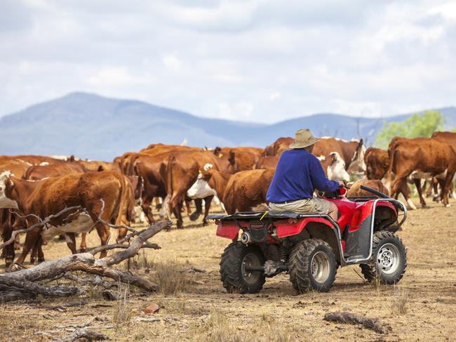 The farmers told the committee they had worked hard to contribute to the prestige and draw that beef held, and were outraged that non-meat products were now using the term on their packaging.