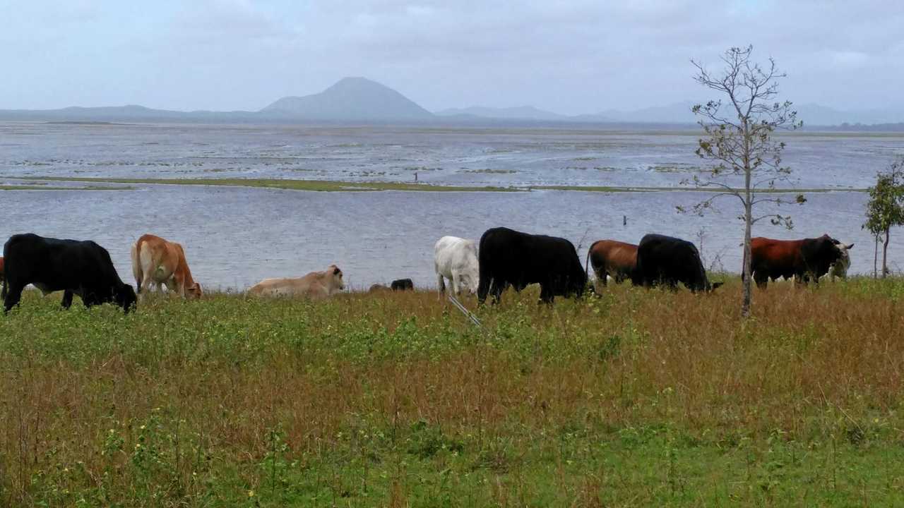 The wetlands which help make Toorilla Plains somewhat drought resistant. Picture: Toorilla Plains