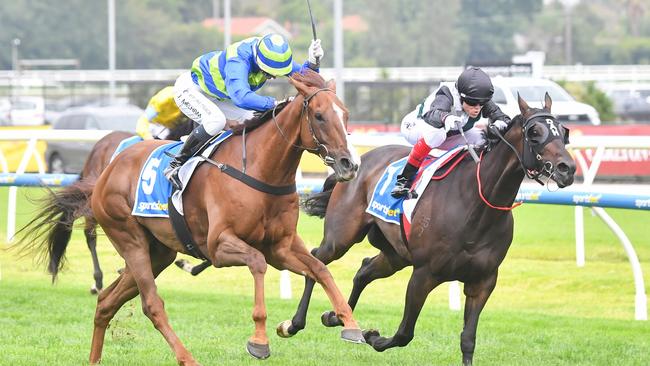 Another Wil claims Mr Brightside in the final strides. Picture: Pat Scala/Racing Photos via Getty Images