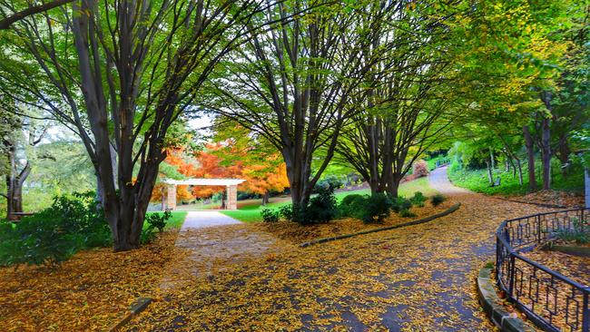 Fitzroy Gardens. Picture: Kelvin Ball. Your Focus on Tasmania **ONE TIME USE ONLY**